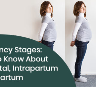 Pregnancy stages: What to know about antenatal, intrapartum & postpartum