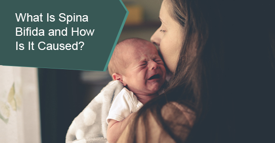 What Is Spina Bifida and How Is It Caused?